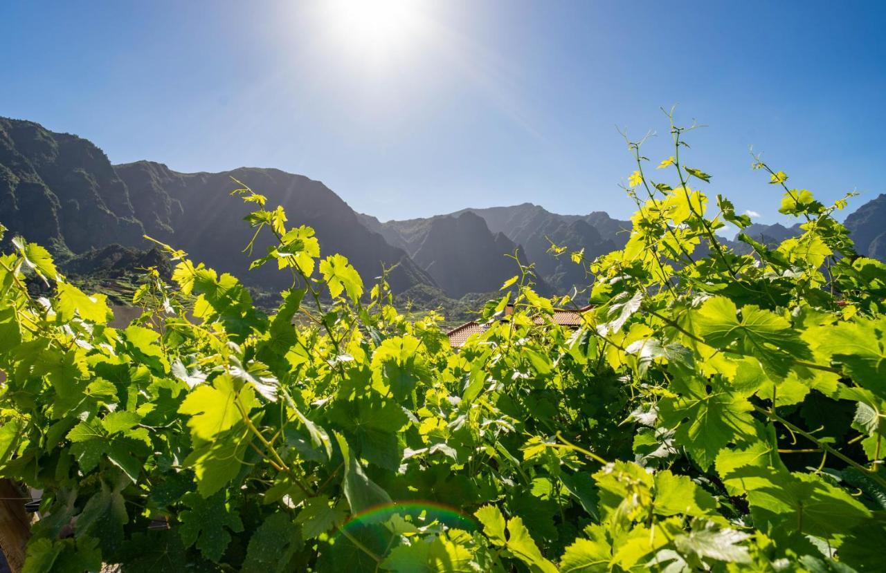 Bauernhof Quinta Vale Vitis *